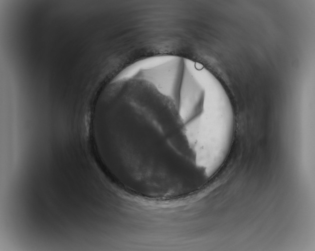 X0000094810018200712071235