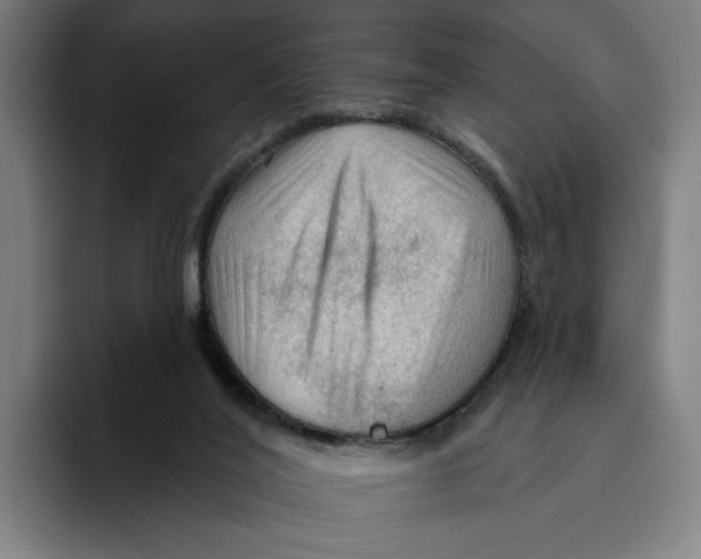 X0000094810020200712071235