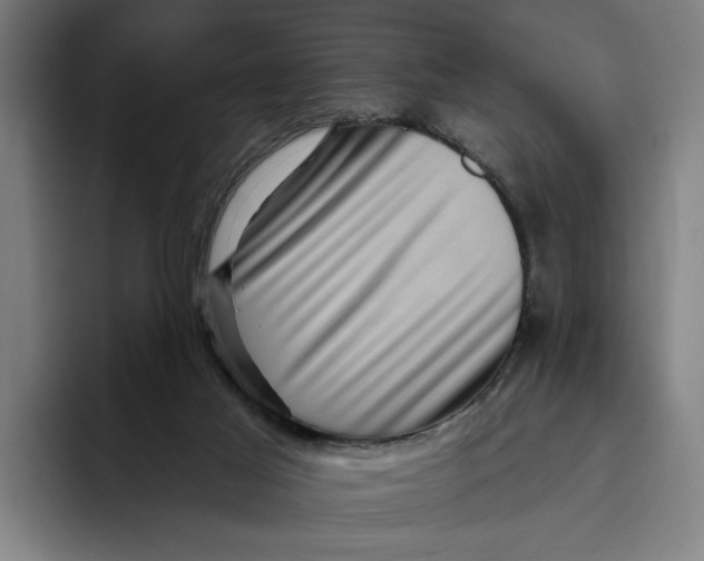 X0000094810021200712071235