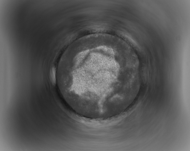 X0000094810022200712071235