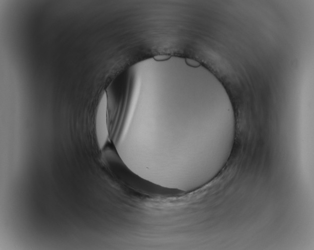 X0000094810025200712071235