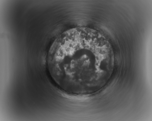 X0000094810032200712071234