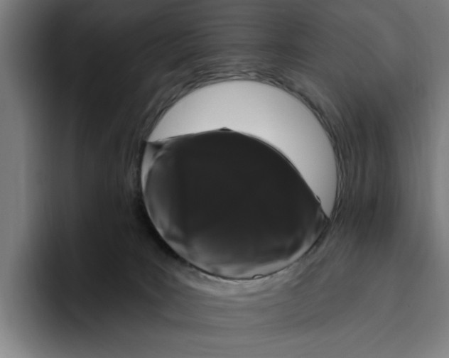 X0000094810035200712071234