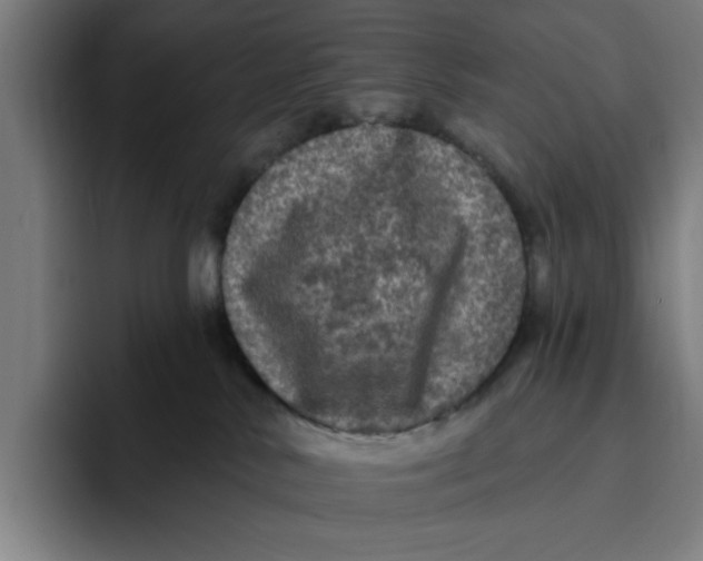 X0000094810042200712071234