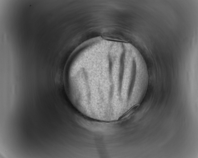 X0000094810044200712071234