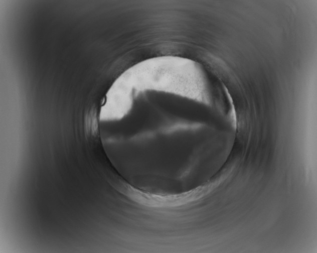 X0000094810046200712071234