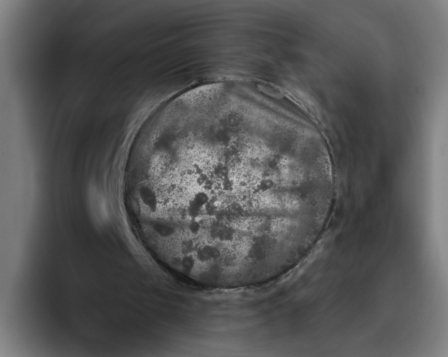 X0000094810049200712071234