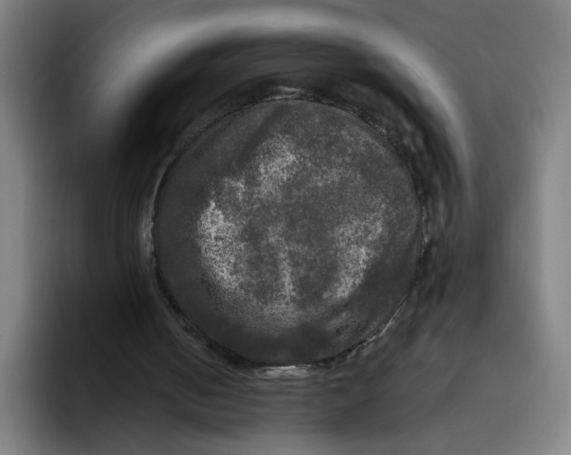 X0000094810050200712071234