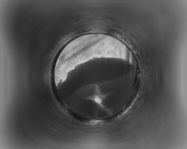 X0000094810055200712071234