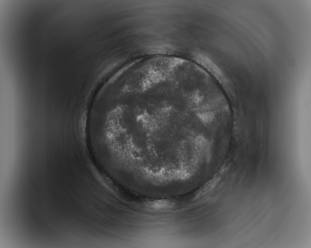 X0000094810058200712071234