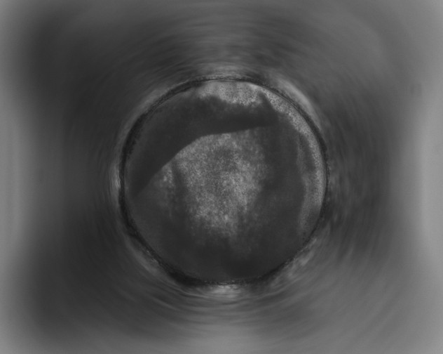 X0000094810059200712071234