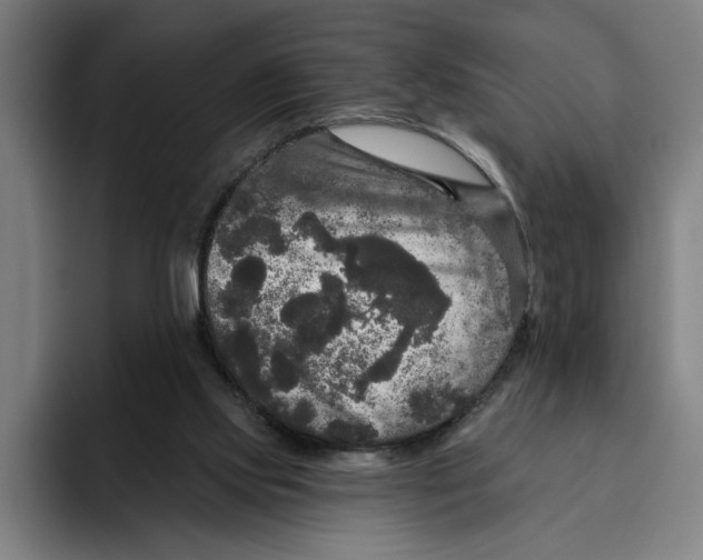 X0000094810061200712071234