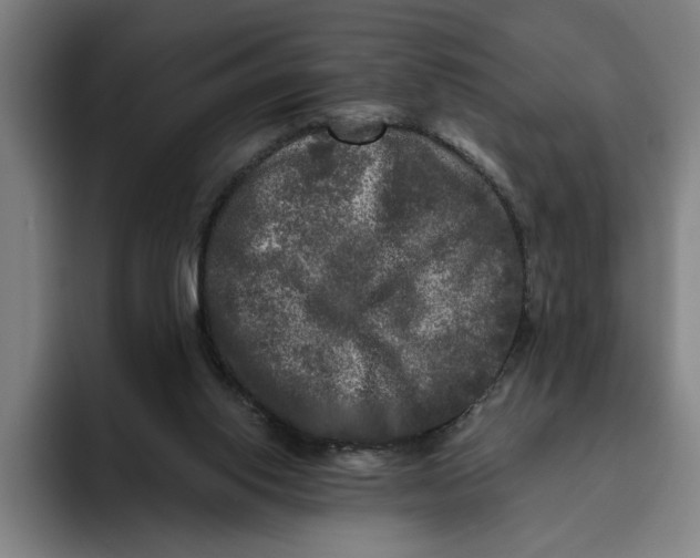 X0000094810062200712071234