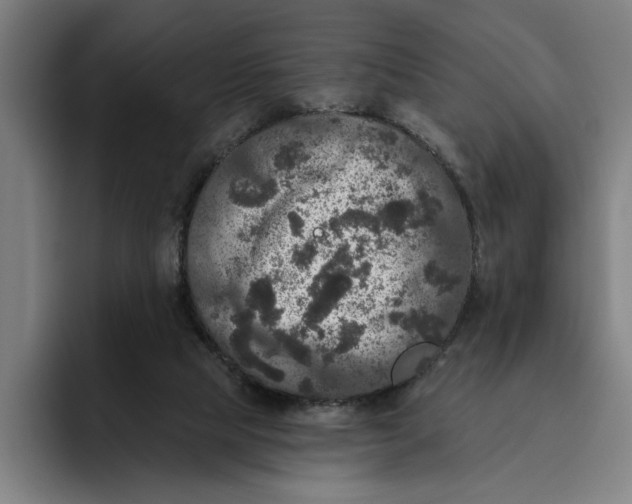 X0000094810065200712071234