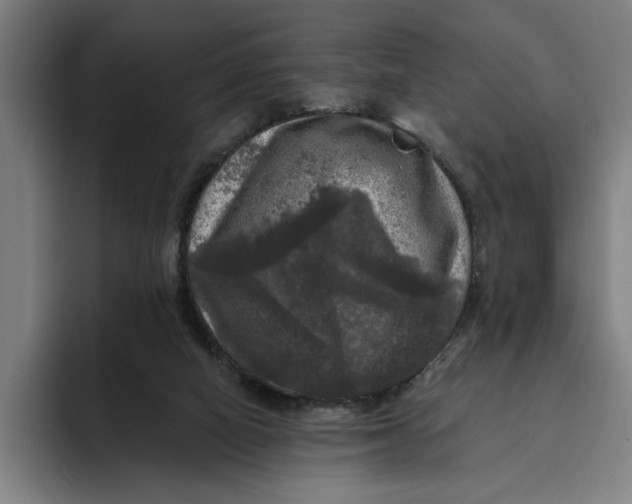 X0000094810066200712071234