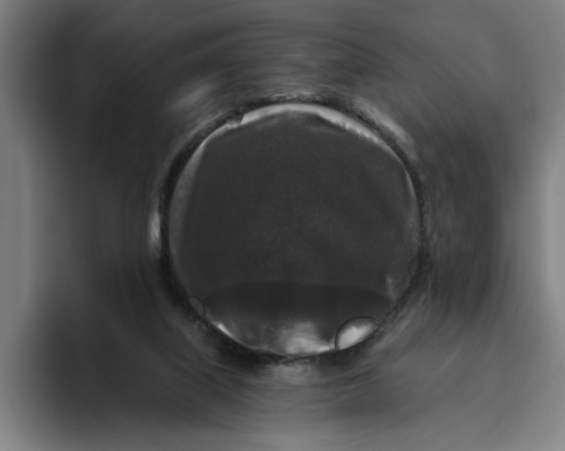 X0000094810067200712071234