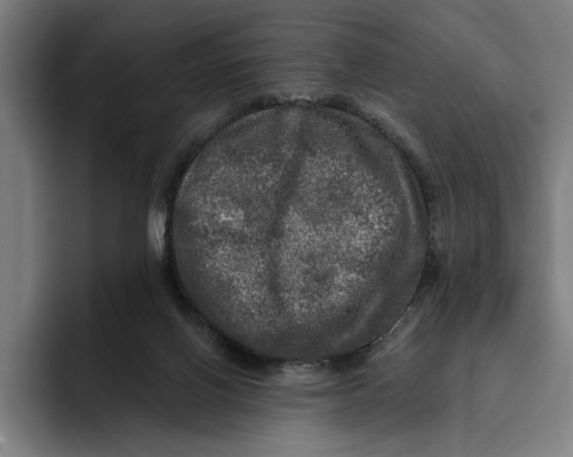 X0000094810070200712071234