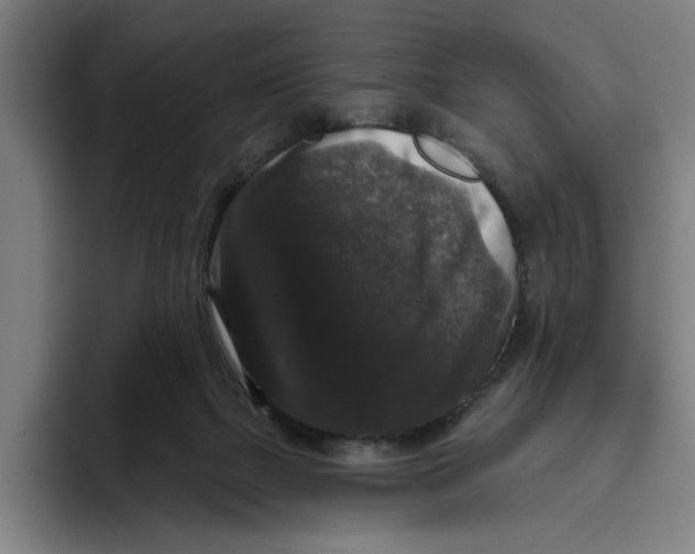 X0000094810073200712071234