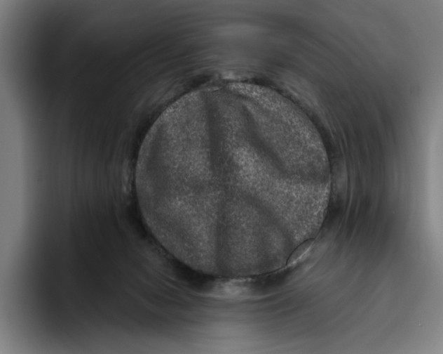 X0000094810078200712071234