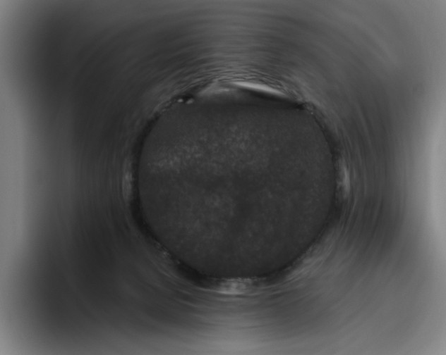 X0000094810080200712071234