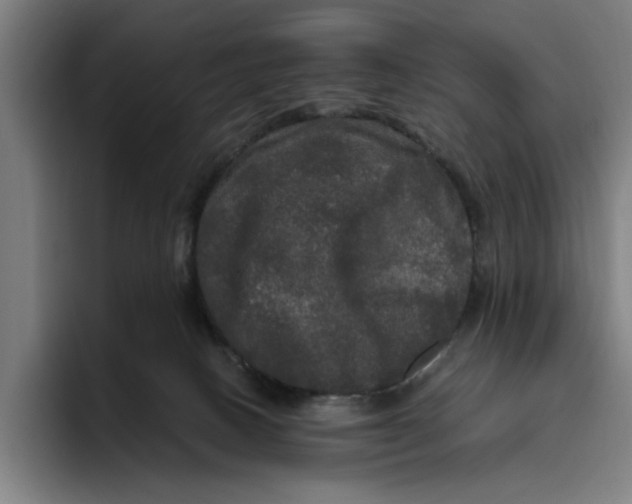 X0000094810082200712071234