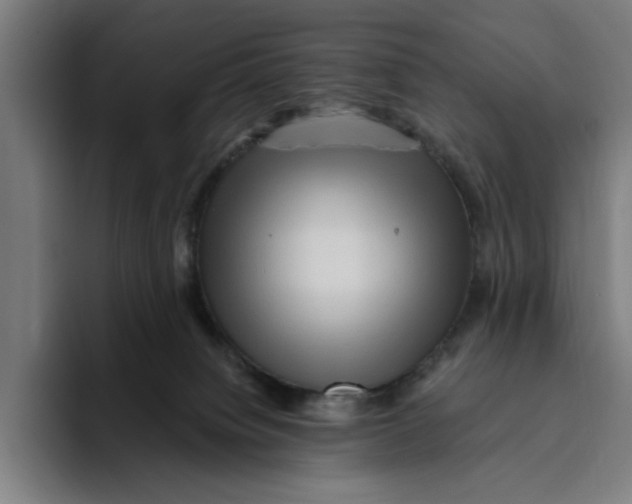 X0000094810084200712071234