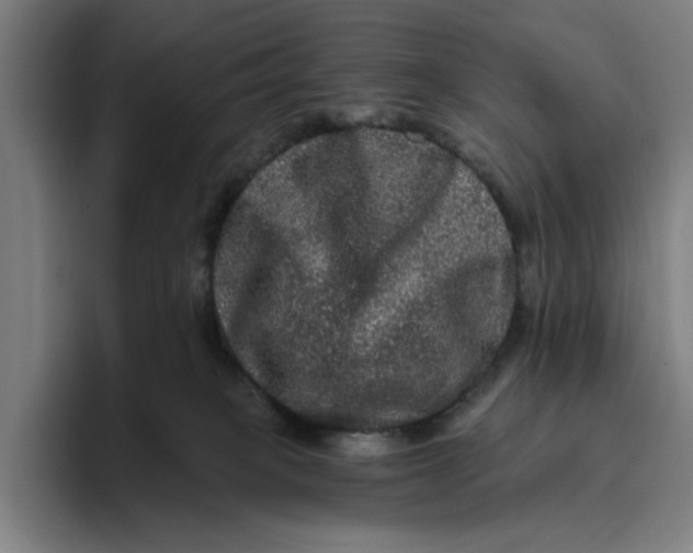 X0000094810085200712071234