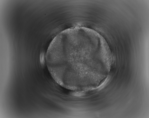 X0000094810094200712071234