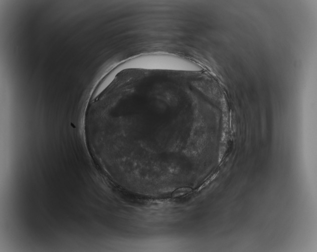 X0000094810099200712071234