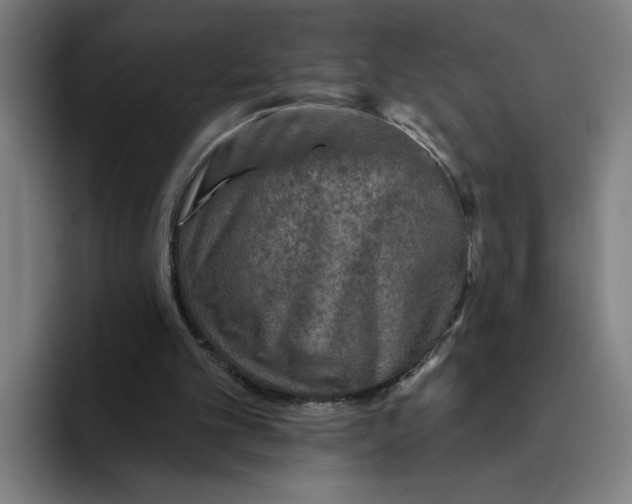 X0000094810101200712071234