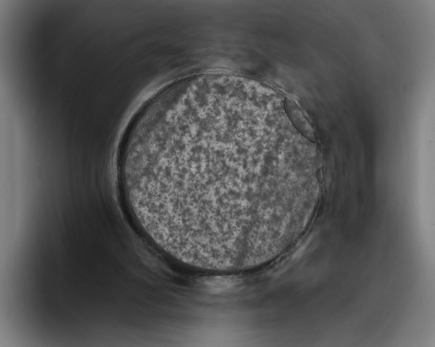 X0000094810102200712071234