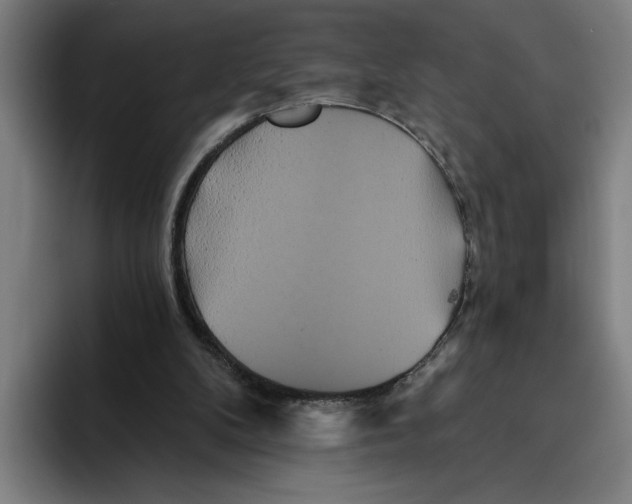 X0000094810104200712071233