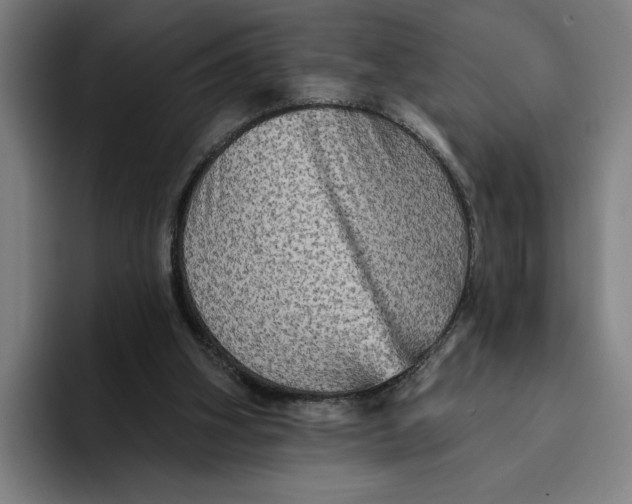 X0000094810106200712071233