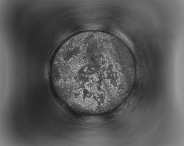 X0000094810107200712071233