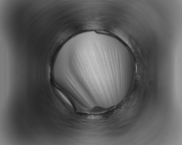 X0000094810109200712071233