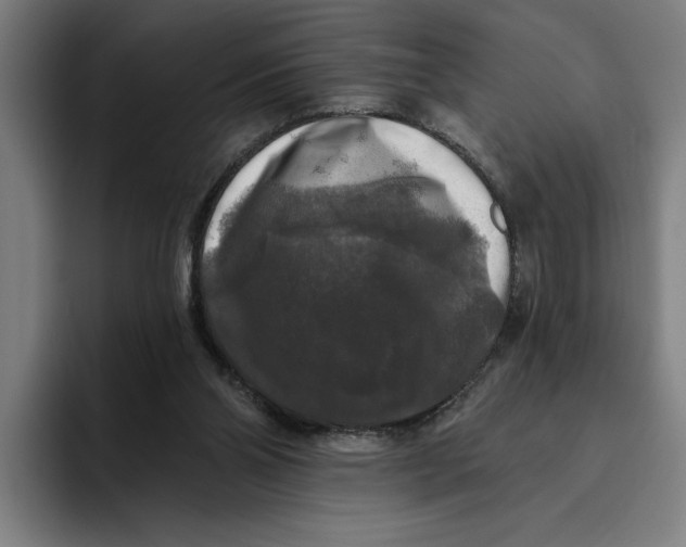 X0000094810110200712071233