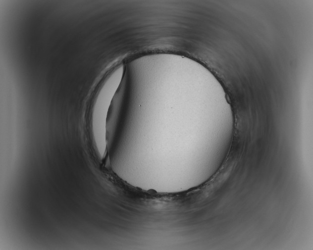 X0000094810112200712071233