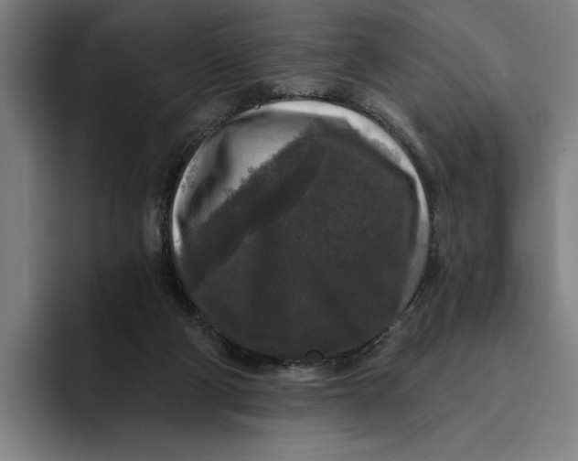 X0000094810114200712071233