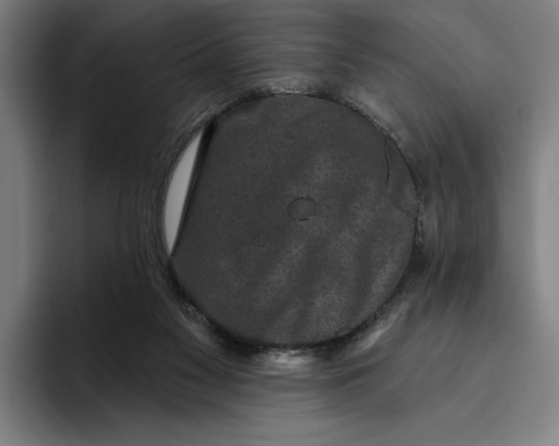 X0000094810117200712071233