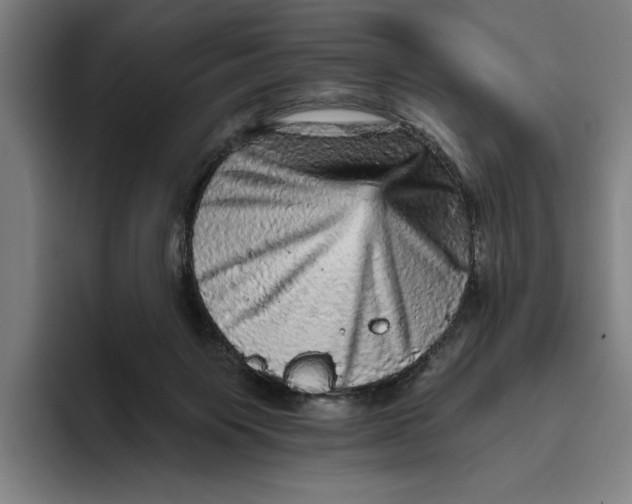 X0000094810119200712071233