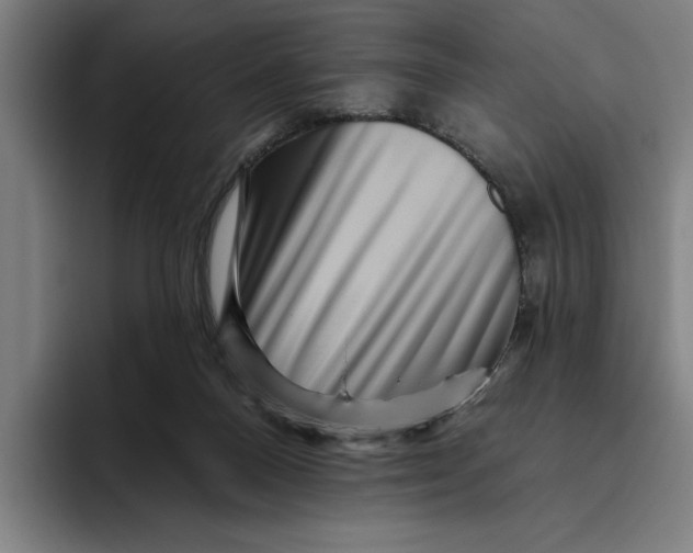 X0000094810120200712071233