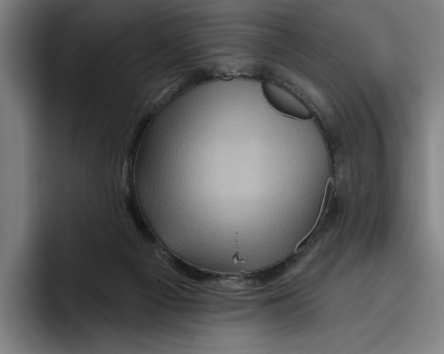 X0000094810121200712071233