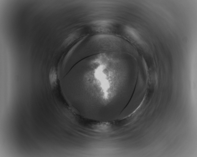 X0000094810124200712071233