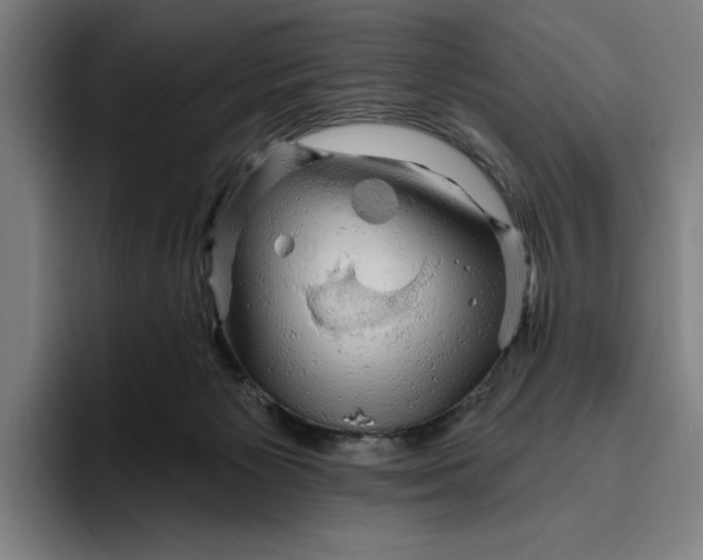 X0000094810125200712071233