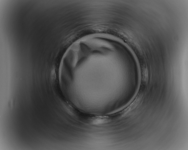 X0000094810128200712071233