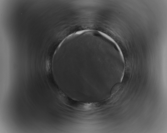 X0000094810130200712071233