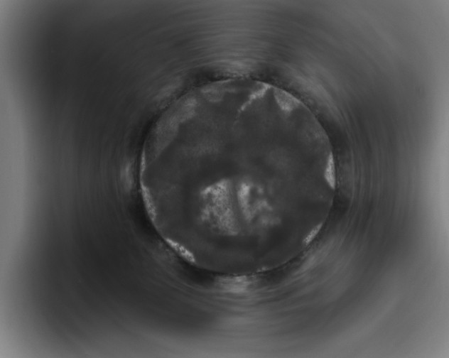 X0000094810131200712071233