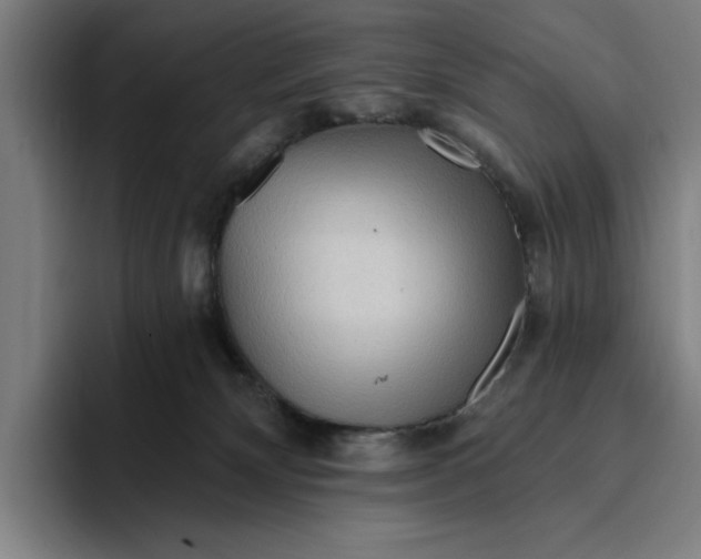 X0000094810132200712071233