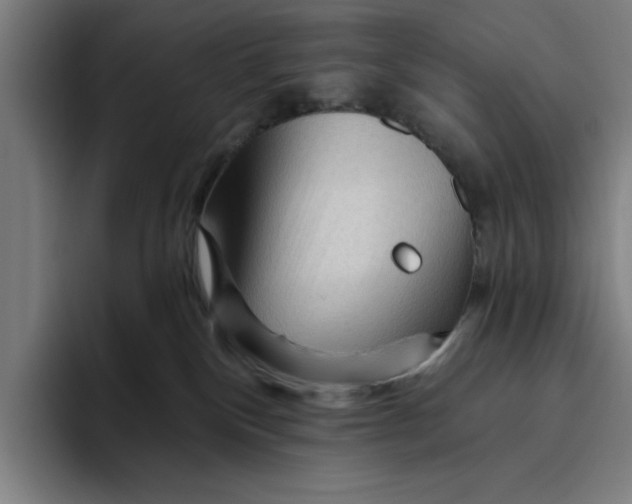 X0000094810136200712071233