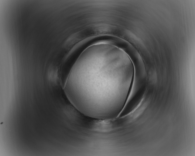 X0000094810140200712071233